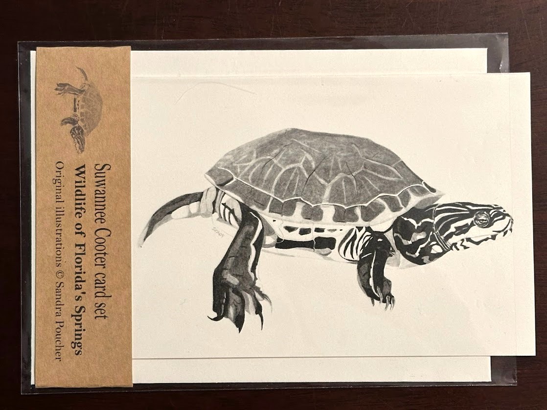 Suwannee cooter card